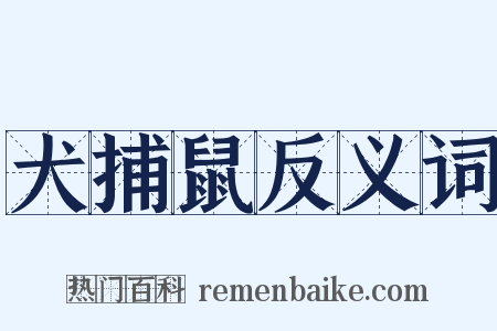 犬捕鼠反义词是什么意思的图片